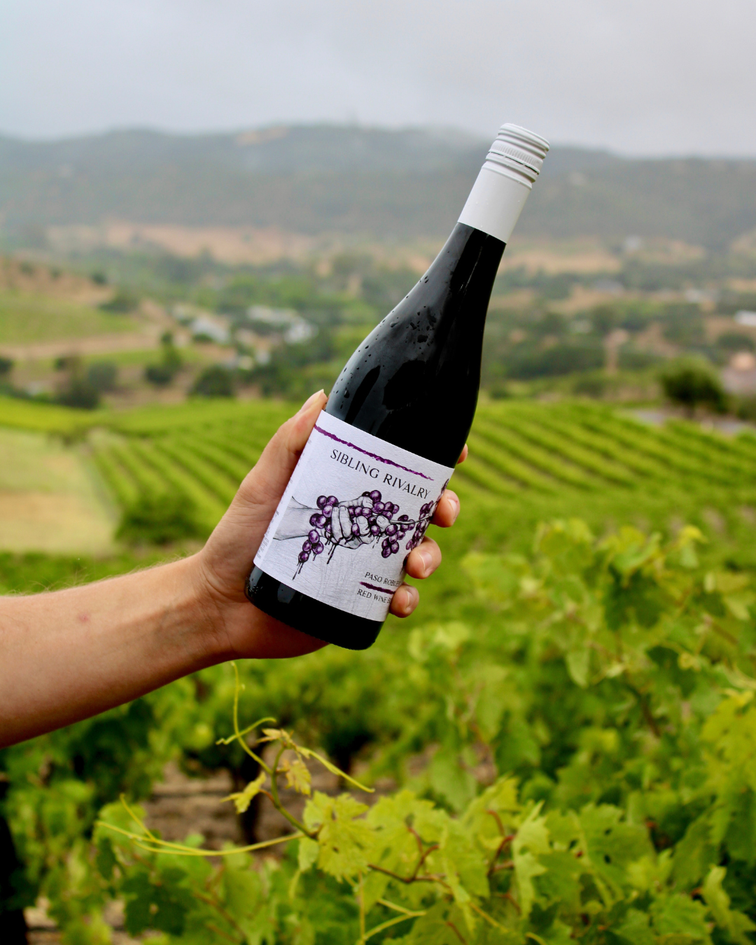 Sibling Rivalry bottle held above vineyard rows